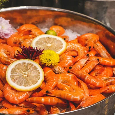 为什么给猫***（为什么给猫***打不进去）